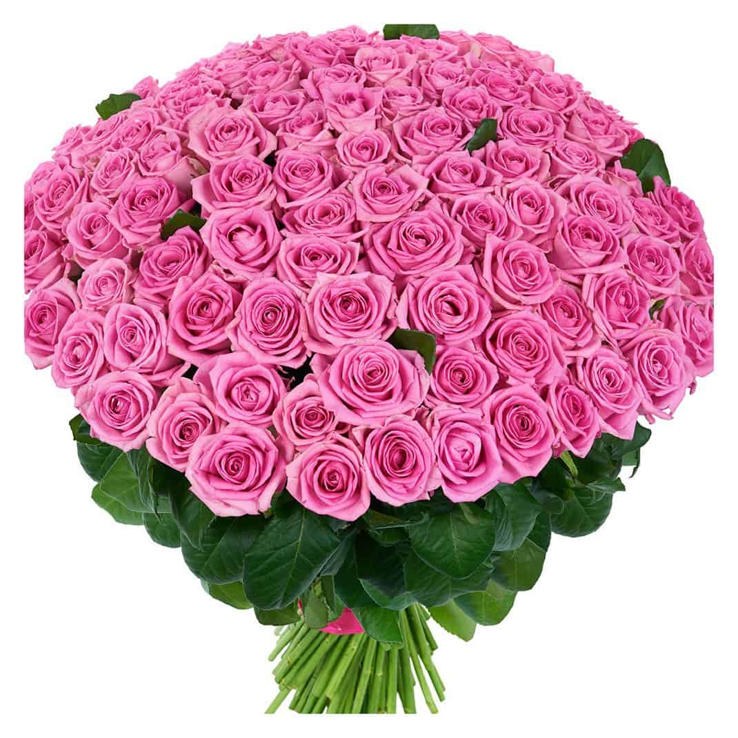 Букет из 101 розовой розы